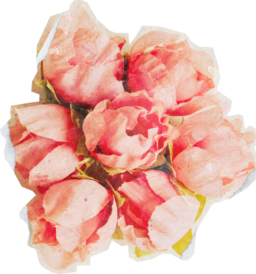 Vintage Feminine Romantic Rose Flowers Cutout